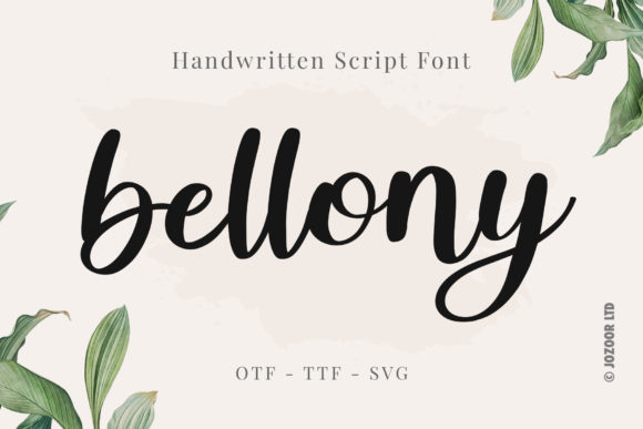 Bellony: A Designer’s Honest Review for Real Projects