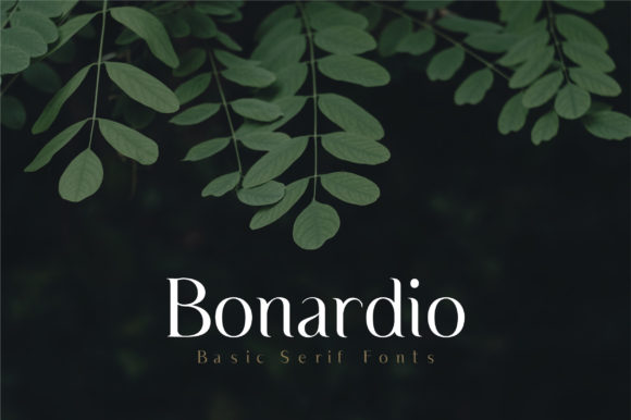Bonardio Typeface Review: A Romantic Serif for Branding