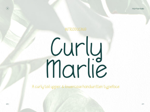 Curly Marlie: A Handwritten Font for Modern Web Design