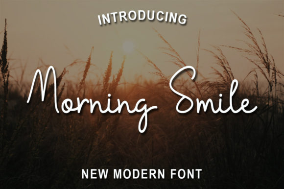 Morning Smile: A Delicate Script Font for Web Design