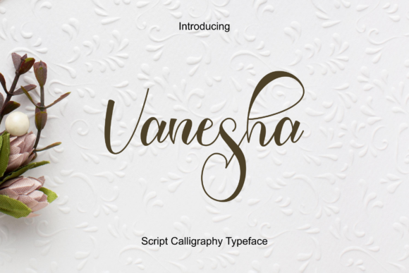 Vanesha: The Handwritten Font for Scroll-Stopping Branding