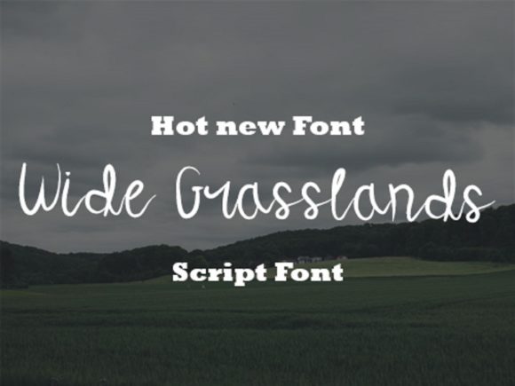 Wide Grasslands Font for Modern Web Design